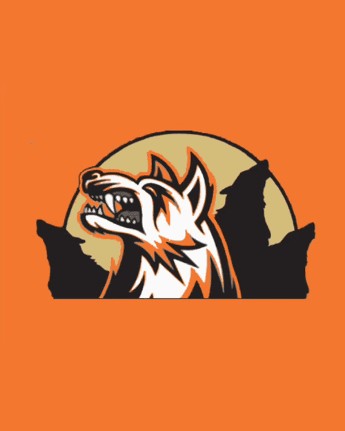 The Wolfpack team image