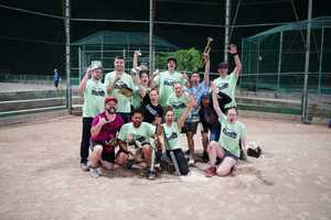 Detroit Bullies logo