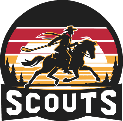 Scouts team image